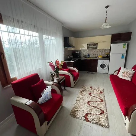 Villa Nova North Tourism & Arsin